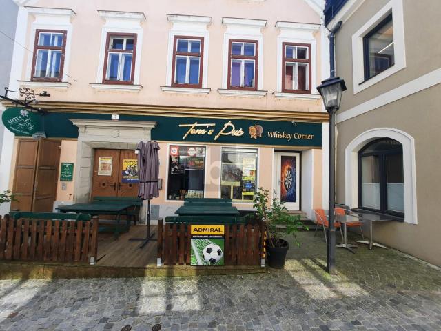LEBEN & ARBEITEN UNTER EINEM DACH ? RENDITESTARKES MULTITALENT MIT PUB & WOHNUNG