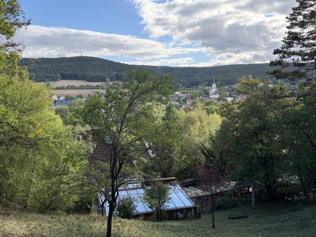Leben in der Natur tolle Ruhelage im Grünen Haus mit Garten Markt Piesting