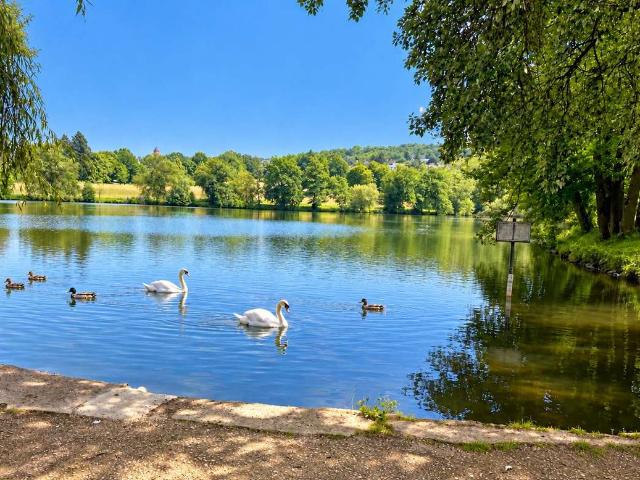 Lebensqualität nahe dem Mattheiser Weiher Fernblick ins Grüne inklusive!