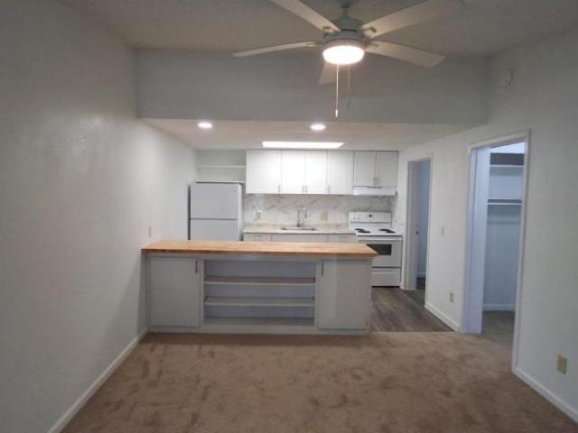 Leesburg FL 34788 106215304