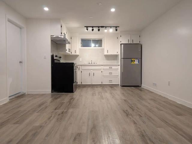 Legal and Fully renovated basement suite near Downtown
