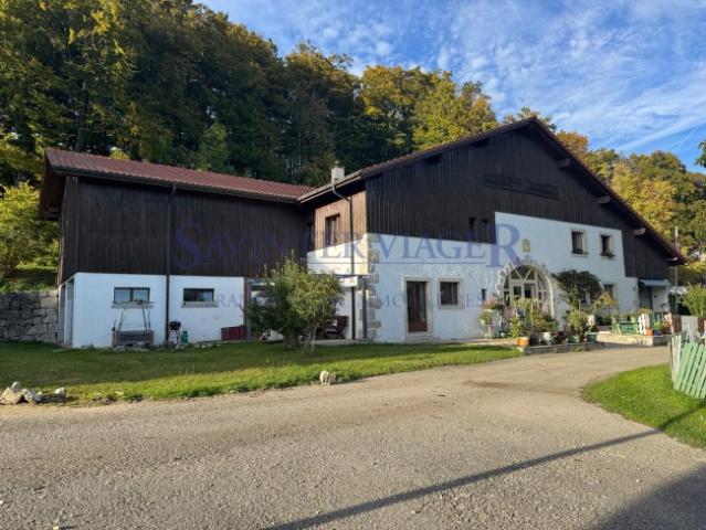 Leibrente, teilweise frei. Zusätzliche renovierungsbedürftige Flächen
