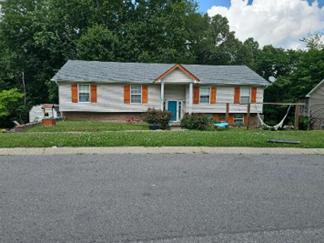 Leigh Ann Dr
