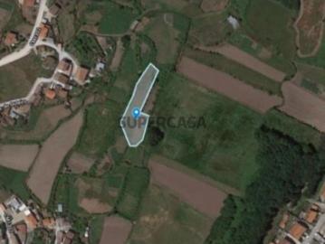 Leira da Nora Peroselo, Penafiel