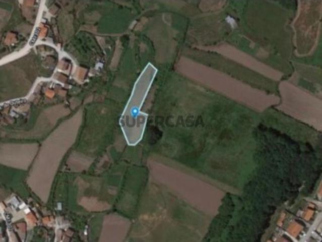 Leira da Nora Peroselo, Penafiel