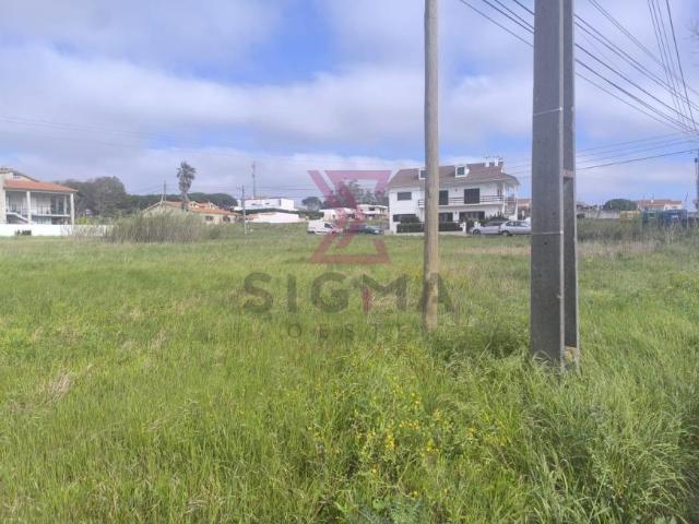 Leiria Caldas da Rainha 2500 102204031