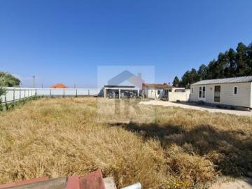 Leiria Caldas da Rainha 2500 103355029