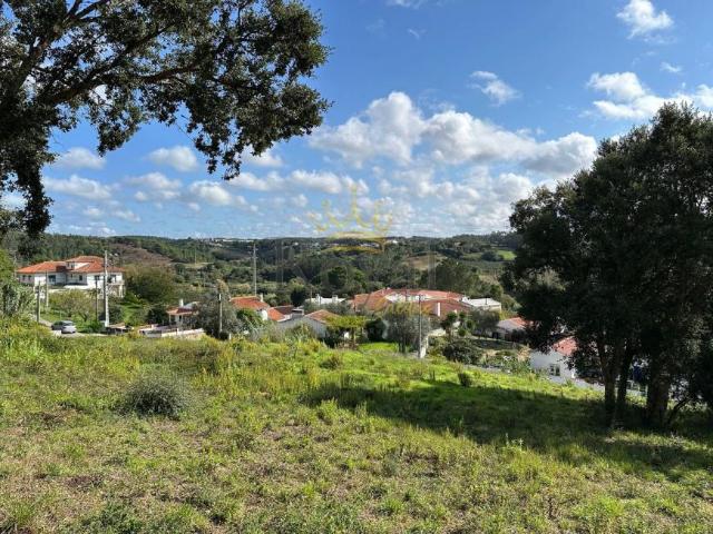 Leiria Caldas da Rainha 2500 103411127