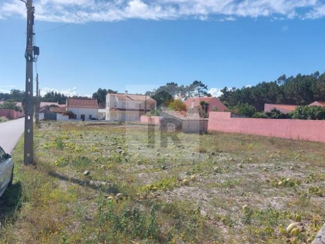 Leiria Caldas da Rainha 2500 105309043