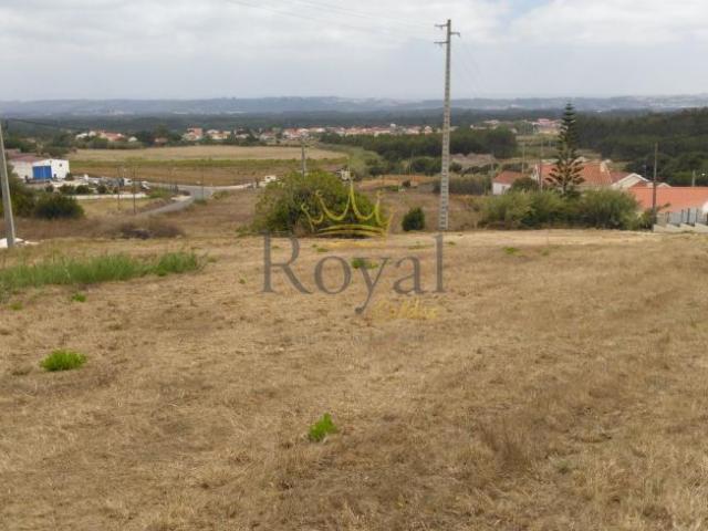 Leiria Caldas da Rainha 2500 98218050