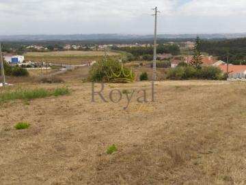 Leiria Caldas da Rainha 2500 98218050