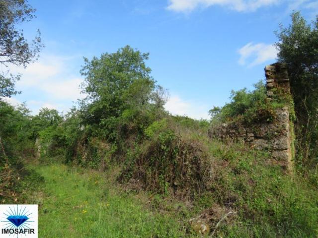 Leiria Alvaiázere 3250 98918433