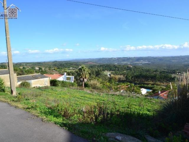 Leiria Alcobaça 2460 105505246