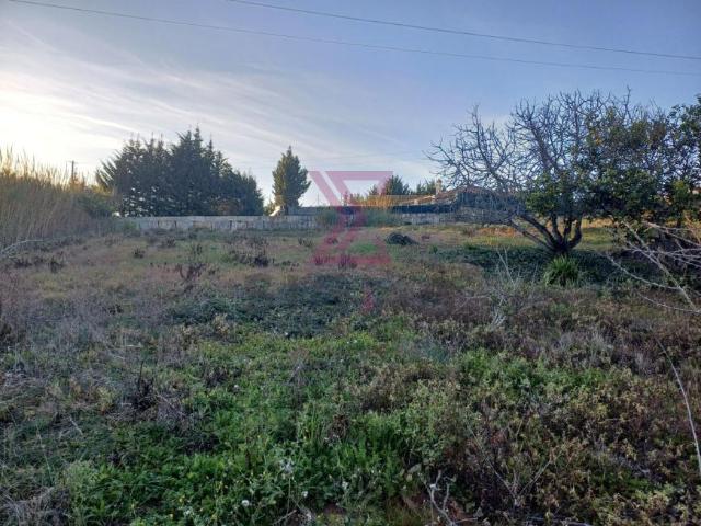 Leiria Bombarral 2540 102203986