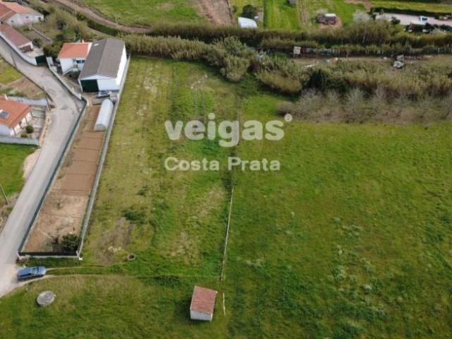 Leiria Óbidos 2510 100299127