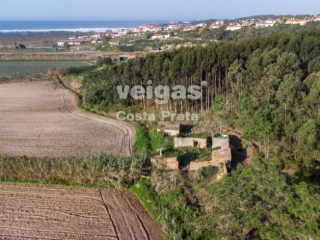 Leiria Óbidos 2510 97378654