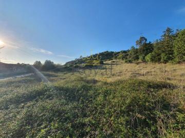 Leiria Óbidos 2510 99825882