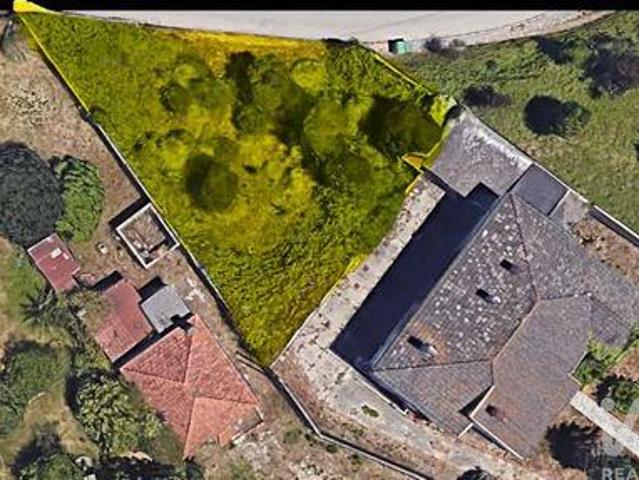 Leiria Leiria 105547017