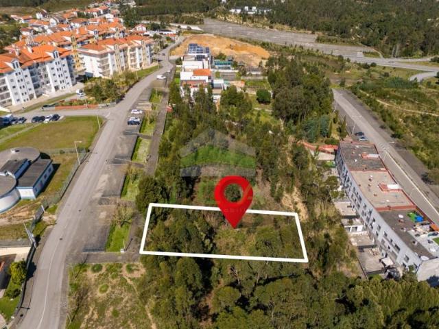 Leiria Leiria 88679818