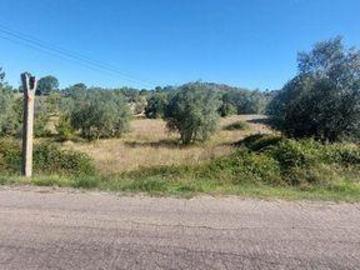 Leiria Leiria 98686080