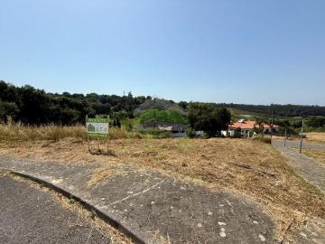 Leiria Leiria 90467023