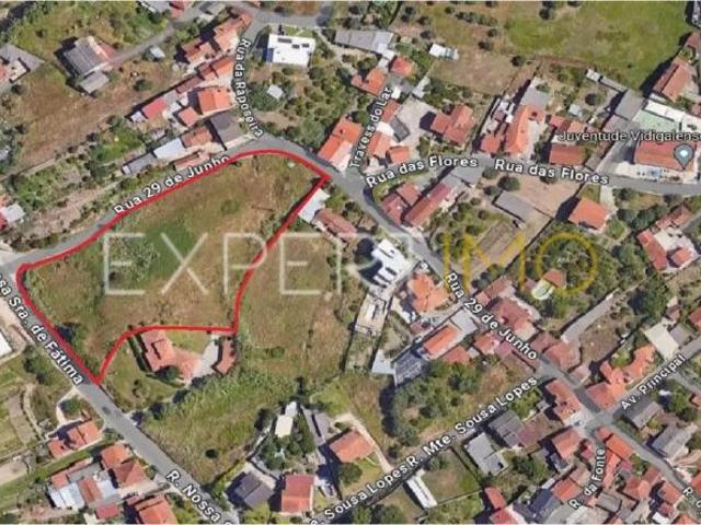 Leiria Leiria 91598514