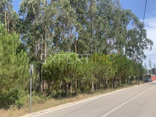 Barosa Leiria LS91598513