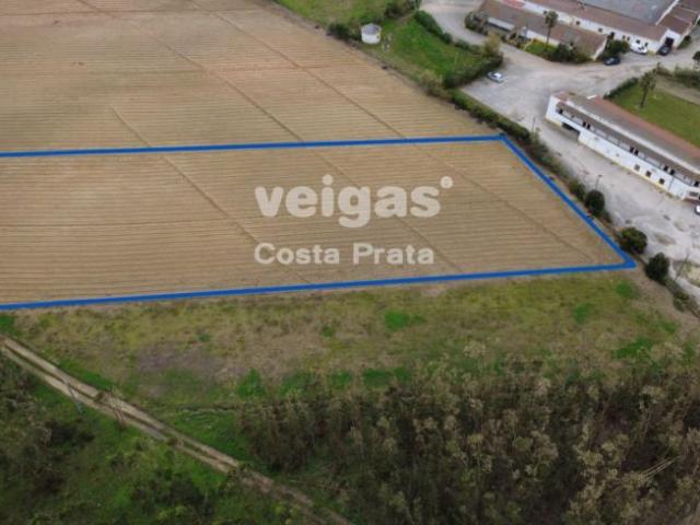 Leiria Peniche 2525 99506743