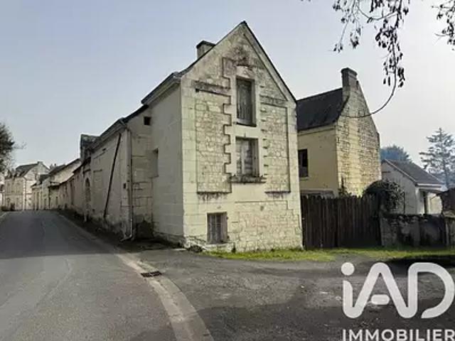 Lerné 37500 Achat / Vente maison 13 pièces t13