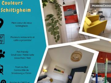 Appartement à louer à Place de la Synagogue