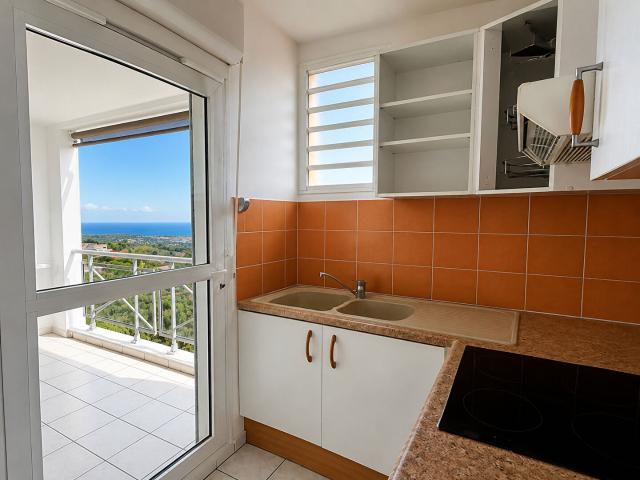 LES AVIRONS T2 VIDE AVEC VUE OCEAN, TERRASSE ET 2 PARKINGS