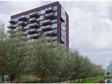 Letterhout, Zaandam, Nederland