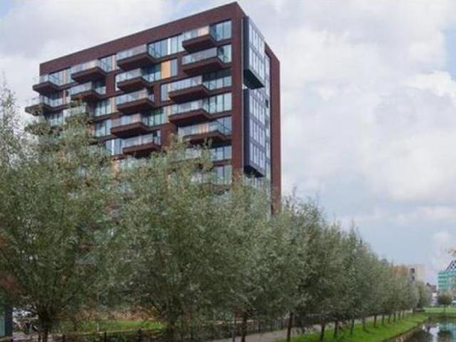 Letterhout, Zaandam, Nederland