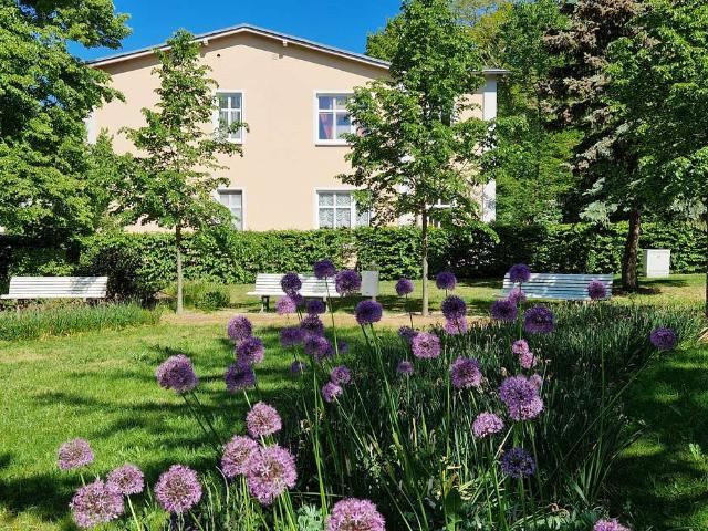 Letzte Altbauwohnung in bester Lage, bezugsfrei
