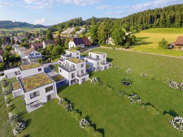 Letzte Gelegenheit EFH in Reinach mit aussergewöhnlich viel Land