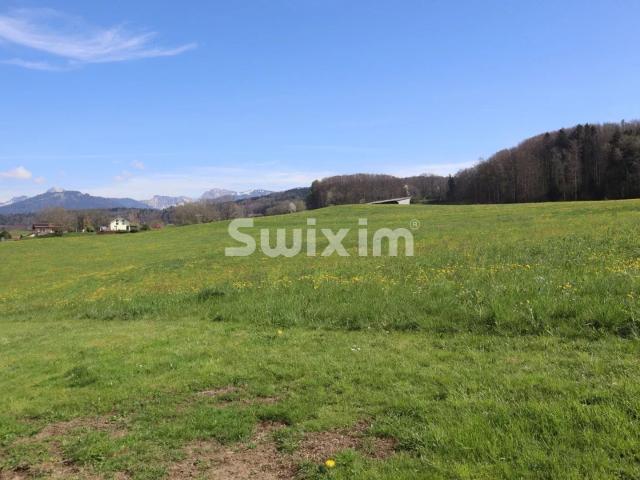 Letzte Villa zum Beschlagnahmen!