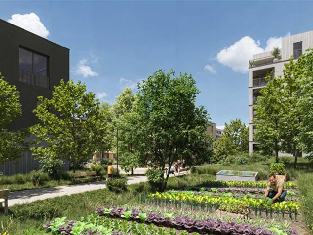 PENTHOUSE MIT GROSSER TERRASSE – BAU IM GANGE