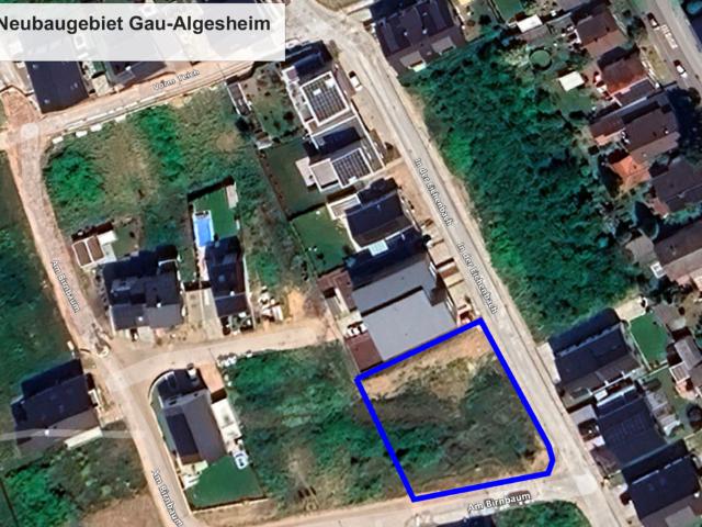 Letztes Haus im Neubaugebiet: Familienfreundliches KfW 40 QNG Einfamilienhaus in Bestlage von Gau Algesheim · 141 m² · PV · Wärmepumpe · 2 Stellplätze