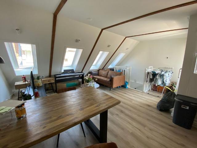 Leuke split level woning met twee slaapkamers in het centrum!, Groningen