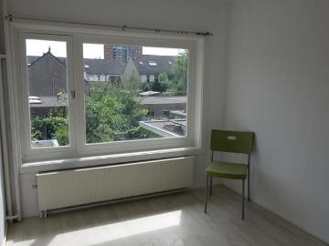 Olland, Meierijstad, Noord-Brabant - Tuin