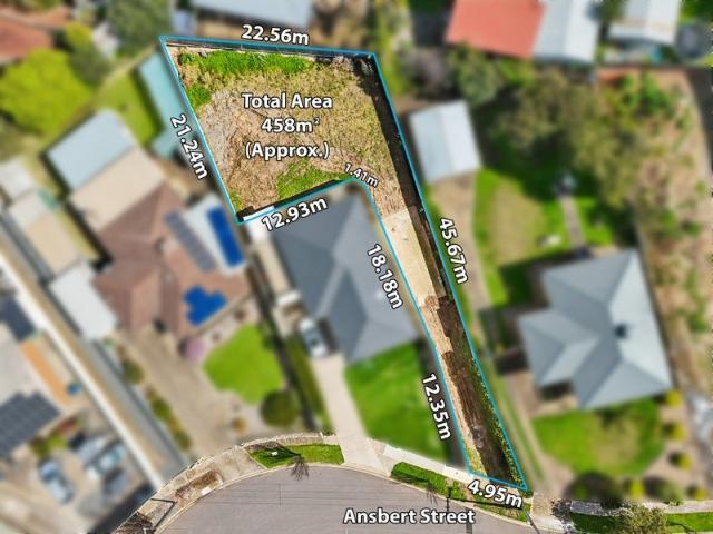 Level 458m2 Allotment