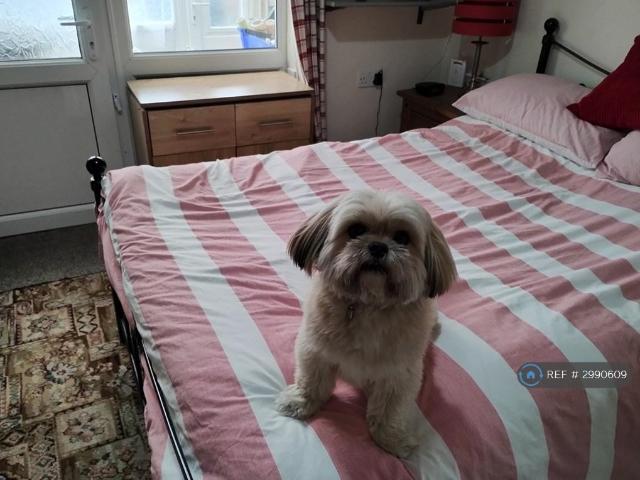 Lexington Drive, Hull, HU4 1 bed in a house share to rent £520 pcm £120 pw