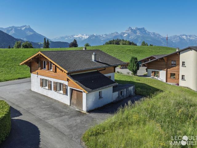 Leysin – Freistehendes Chalet mit 5,5 Zimmern in einer begehrten Gegend