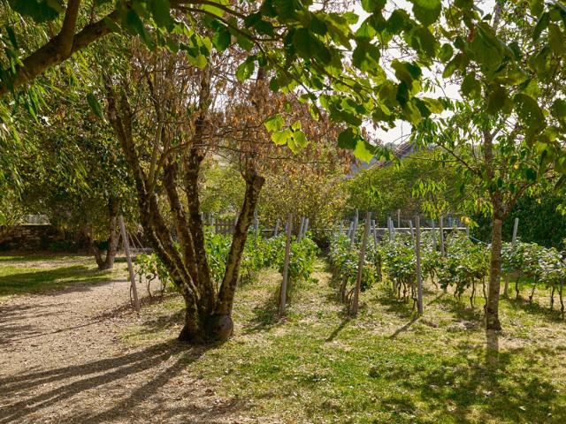L'héritage D'une Maison Vigneronne De 1704 199m² Villers sous Montrond