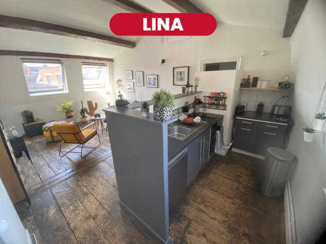LINA Appartement T2 51,87 m2 SECTEUR VIEUX LILLE
