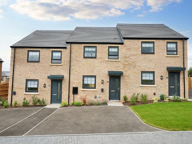 Lincoln Drive NG4, 3 bed semi detached house to rent, £1,508 pcm | PrimeLocation