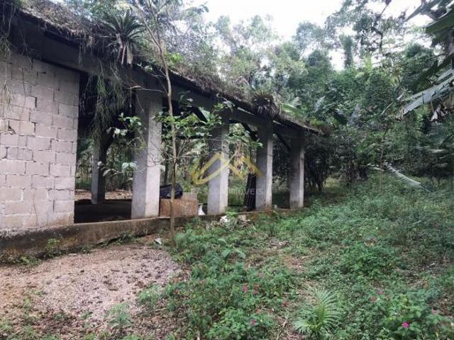 LINDA ÁREA DE 32.500M² EM UBATUBA, FACÍL ACESSO. OPORTUNIDADE