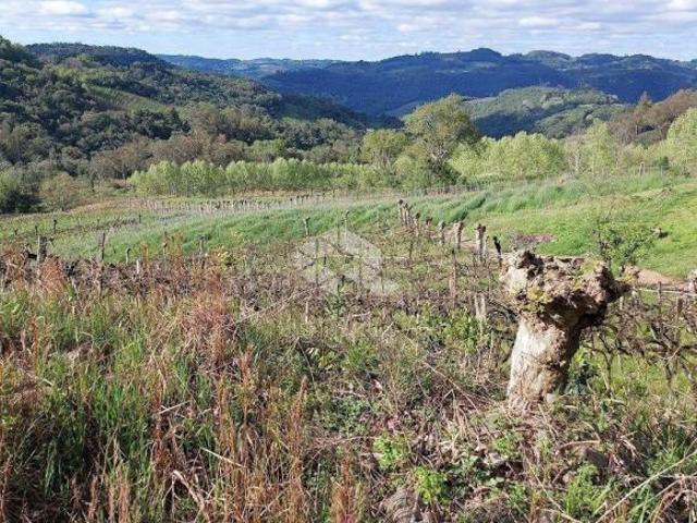 Linda área rural a 14 km de Bento Gonçalves