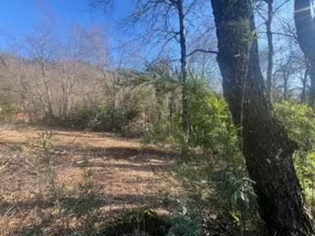 Linda cabaña camino a las Termas de Chillán, orilla camino | 1 dormitorios por 85000. 00 en Pinto