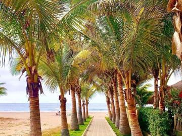 Casa en venta en Tumbes - Barbacoa